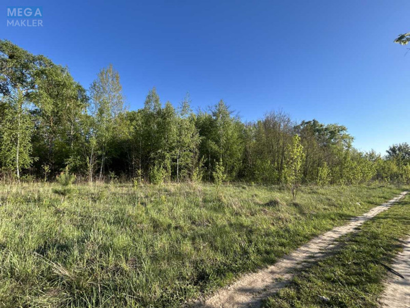 Продажа участка, 120&nbsp;соток, участок под жилую застройку, <a class="location-link" href="/petrovskoe-selo-kv-kievo-svyatoshinskij-rajon/" title="Недвижимость Петрівське">Петрівське</a>, Альпійська (изображение 11)