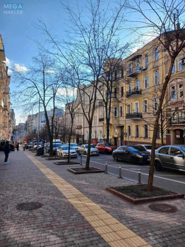 Продаж 3 кімнатної квартири (88/?/13,6), 2 пов. 4 пов. будинку, <a class="location-link" href="/kiev/" title="Недвижимость Київ">Київ</a>, <a class="location-link" href="/kiev/shevchenkovskij/" title="Недвижимость Шевченківський район">Шевченківський р-н</a>, Пушкінська вул., 12а (изображение 16)