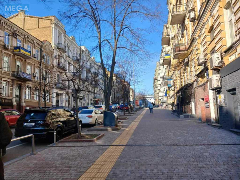 Продаж 3 кімнатної квартири (88/?/13,6), 2 пов. 4 пов. будинку, <a class="location-link" href="/kiev/" title="Недвижимость Київ">Київ</a>, <a class="location-link" href="/kiev/shevchenkovskij/" title="Недвижимость Шевченківський район">Шевченківський р-н</a>, Пушкінська вул., 12а (изображение 17)