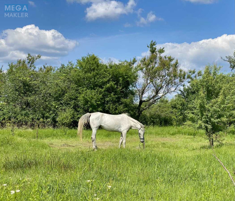 Продаж дома, 2 поверху, 183,50 кв.м, 5 кімнат, ділянка 50 соток, <a class="location-link" href="/novaya-greblya-selo-kv/" title="Недвижимость Нова Веслування">Нова Гребля</a>, Центральна (изображение 4)