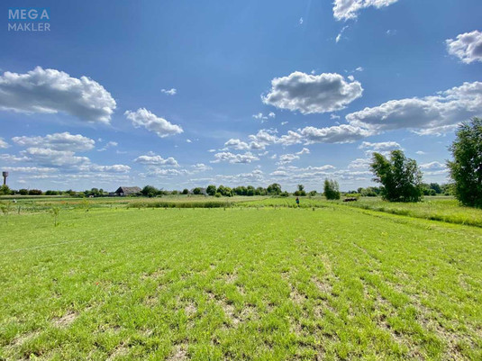 Продаж дома, 2&nbsp;поверху, 183,50&nbsp;кв.м, 5&nbsp;кімнат, ділянка 50&nbsp;соток, <a class="location-link" href="/novaya-greblya-selo-kv/" title="Недвижимость Нова Веслування">Нова Гребля</a>, Центральна (изображение 6)