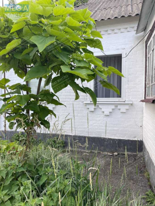 Продаж дома, 1 поверх, 58 кв.м, 2 кімнати, ділянка 19 соток, <a class="location-link" href="/zhuki-selo-pl/" title="Недвижимость Жуки">Жуки</a>, Центральна (изображение 2)