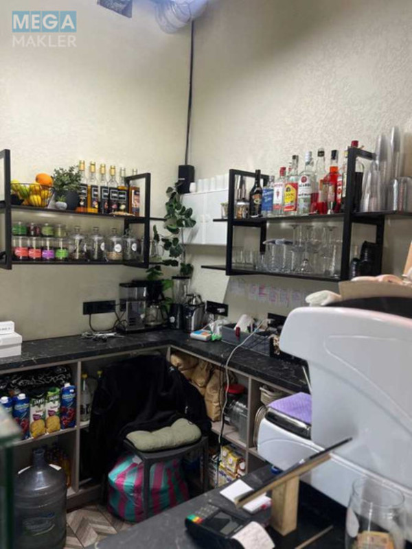 Продаж комерційної нерухомості, 42 кв.м, <a class="location-link" href="/kiev/" title="Недвижимость Київ">Київ</a>, <a class="location-link" href="/kiev/goloseevskij/" title="Недвижимость Голосіївський район">Голосіївський р-н</a>, Михайла Максимовича вул., 24 (изображение 9)