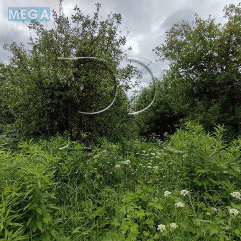 Продажа участка, 11 соток, участок под жилую застройку, <a class="location-link" href="/rozhovka/" title="Недвижимость Рожівка">Рожівка</a>, СТ Академік (изображение 7)