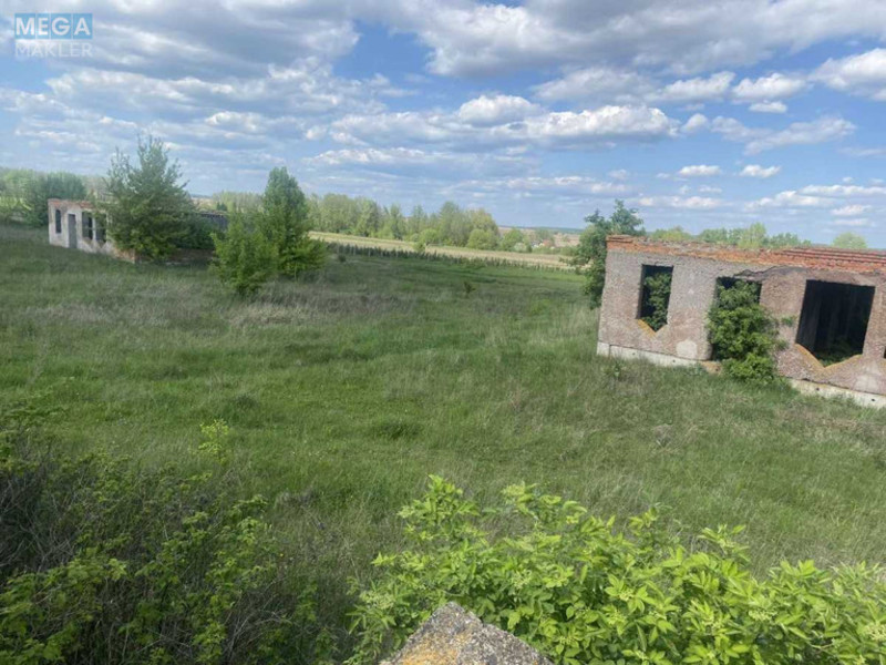 Продажа участка, 47 соток, участок под жилую застройку, <a class="location-link" href="/brusilov/" title="Недвижимость Брусилів">Брусилів</a>, Містечко (изображение 2)