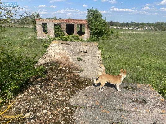 Продажа участка, 47&nbsp;соток, участок под жилую застройку, <a class="location-link" href="/brusilov/" title="Недвижимость Брусилів">Брусилів</a>, Містечко (изображение 4)