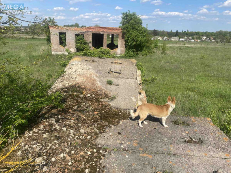 Продажа участка, 47 соток, участок под жилую застройку, <a class="location-link" href="/brusilov/" title="Недвижимость Брусилів">Брусилів</a>, Містечко (изображение 4)