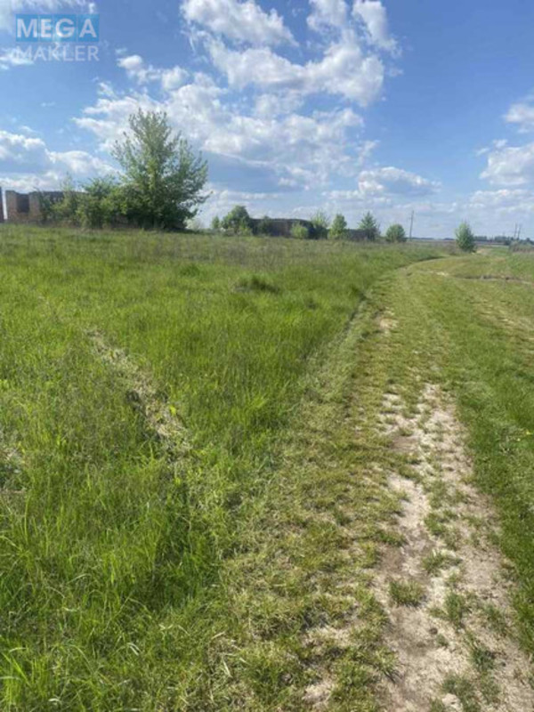 Продажа участка, 47 соток, участок под жилую застройку, <a class="location-link" href="/brusilov/" title="Недвижимость Брусилів">Брусилів</a>, Містечко (изображение 8)