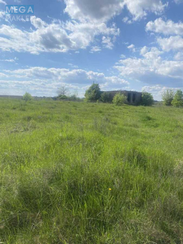 Продажа участка, 47 соток, участок под жилую застройку, <a class="location-link" href="/brusilov/" title="Недвижимость Брусилів">Брусилів</a>, Містечко (изображение 9)