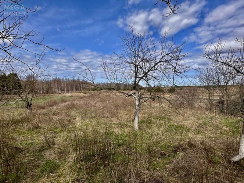 Продаж дома, 1 поверх, 50 кв.м, 2 кімнати, ділянка 21 сотка, <a class="location-link" href="/plahtyanka/" title="Недвижимость Плахтянка">Плахтянка</a>, Шевченка, 1 (изображение 24)