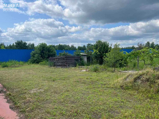 Продаж дома, 1&nbsp; поверх, 192&nbsp;кв.м, 5&nbsp;кімнат, ділянка 68&nbsp;соток, <a class="location-link" href="/fedorovka-selo-kv/" title="Недвижимость Федорівка">Федорівка</a>, Дружби, 7 (изображение 16)