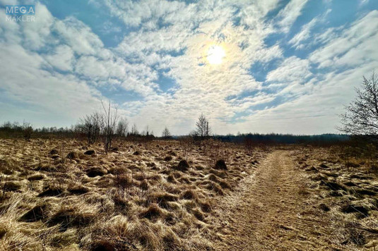 Продажа участка, 86&nbsp;соток, земля сельскохозяйственного назначения, <a class="location-link" href="/solonka/" title="Недвижимость Сільничка">Солонка</a>, Людкевича (изображение 2)