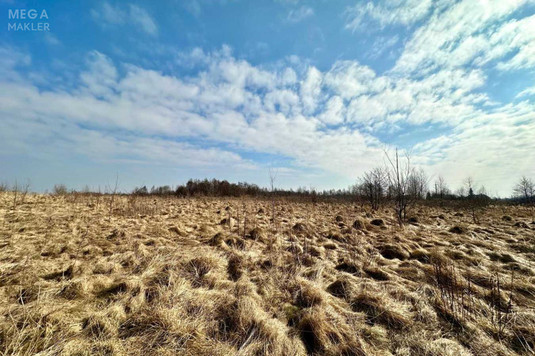 Продажа участка, 86&nbsp;соток, земля сельскохозяйственного назначения, <a class="location-link" href="/solonka/" title="Недвижимость Сільничка">Солонка</a>, Людкевича (изображение 8)