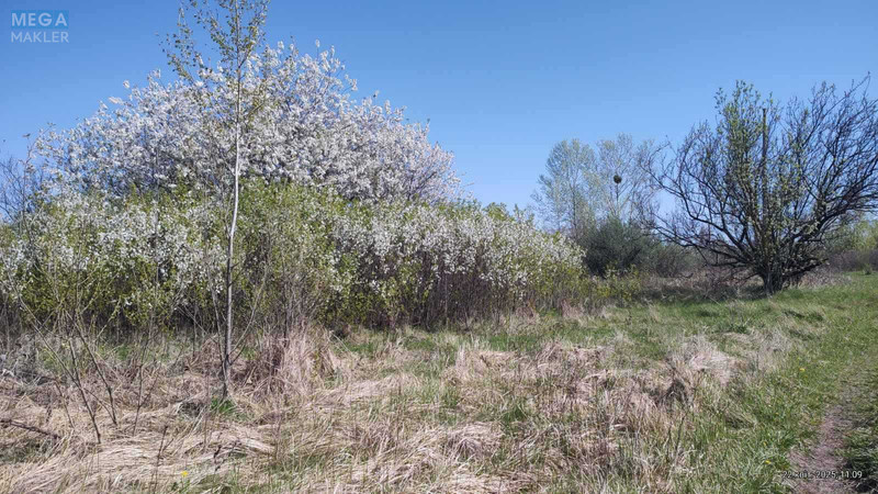 Продажа участка, 7,38 соток, участок под жилую застройку, <a class="location-link" href="/kiev/" title="Недвижимость Київ">Київ</a>, <a class="location-link" href="/kiev/desnyanskij/" title="Недвижимость Деснянський район">Деснянський р-н</a>, Вірності вул. (изображение 16)