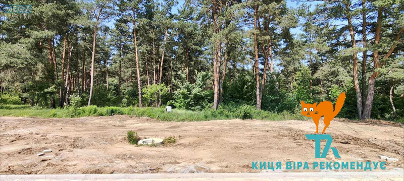 Продаж дома, 1 поверх, 192 кв.м, 3 кімнати, ділянка 9 соток, <a class="location-link" href="/zabyre/" title="Недвижимость Забір'я">Забір`я</a>, Мудрого Ярослава, 25 (изображение 4)