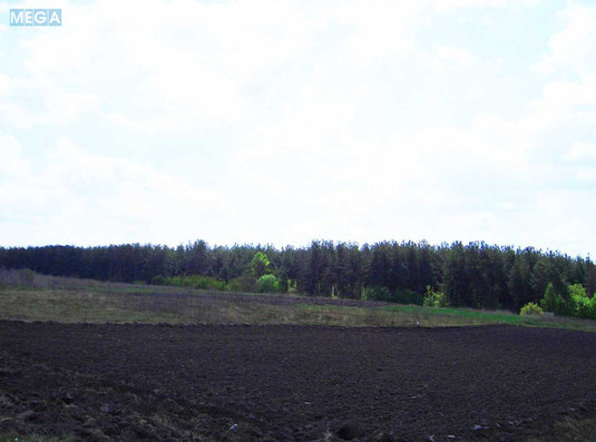 Продажа участка, 12&nbsp;соток, участок под жилую застройку, <a class="location-link" href="/vasilkov/" title="Недвижимость Васильків">Васильків</a>, Дармостука (изображение 3)