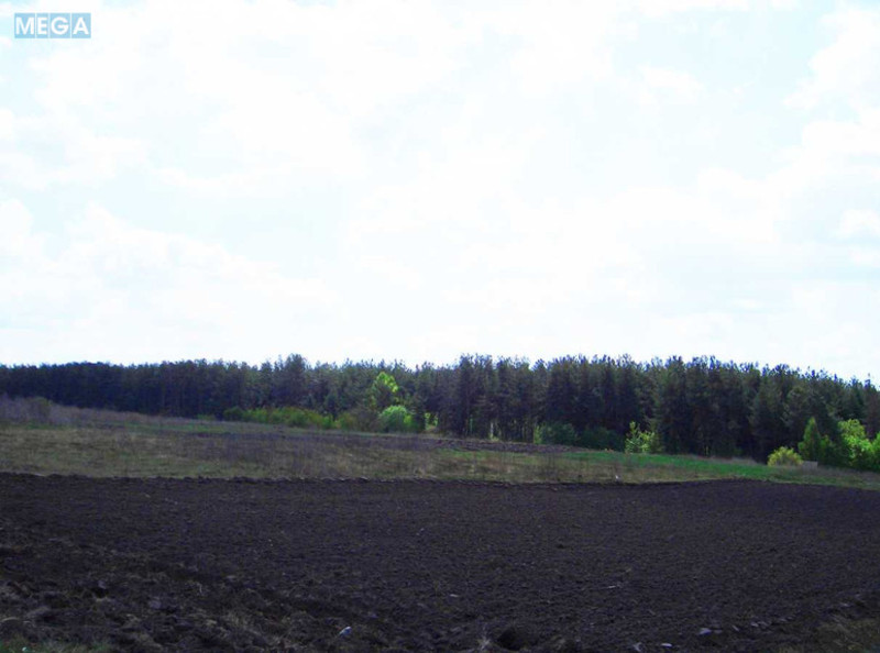 Продажа участка, 12&nbsp;соток, участок под жилую застройку, <a class="location-link" href="/vasilkov/" title="Недвижимость Васильків">Васильків</a>, Дармостука (изображение 3)