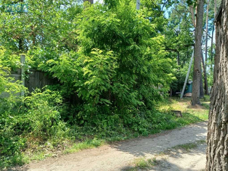Продажа участка, 8 соток, участок под жилую застройку, <a class="location-link" href="/irpen/" title="Недвижимость Ірпінь">Ірпінь</a>, Варшавская (изображение 6)