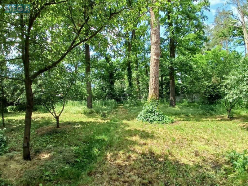 Продажа участка, 8 соток, участок под жилую застройку, <a class="location-link" href="/irpen/" title="Недвижимость Ірпінь">Ірпінь</a>, Варшавская (изображение 7)