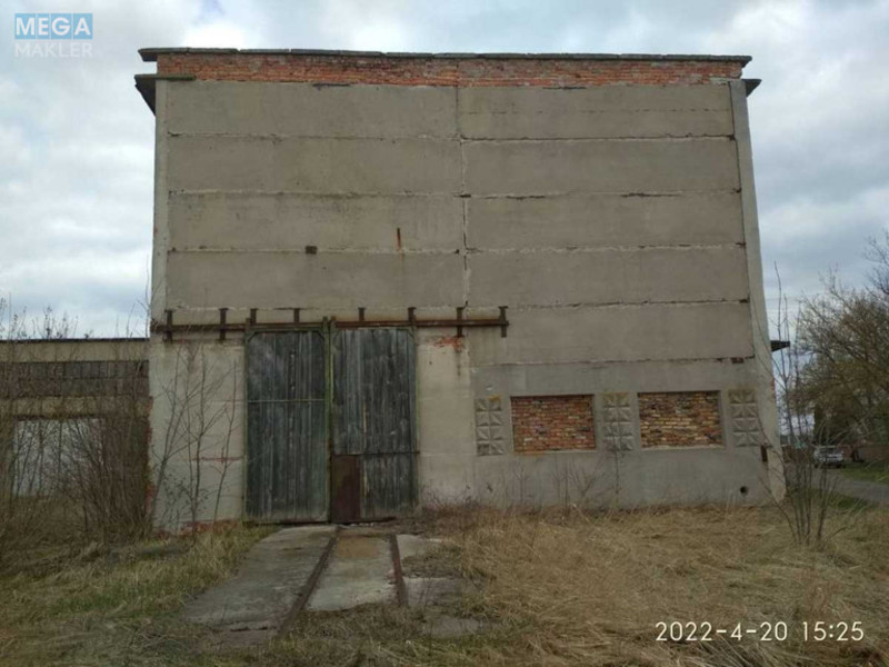 Продаж комплексу будівель та споруд, 2 400 кв.м, под производство, <a class="location-link" href="/lopatin/" title="Недвижимость Лопатін">Лопатин</a>, Центральна, 25 (изображение 7)