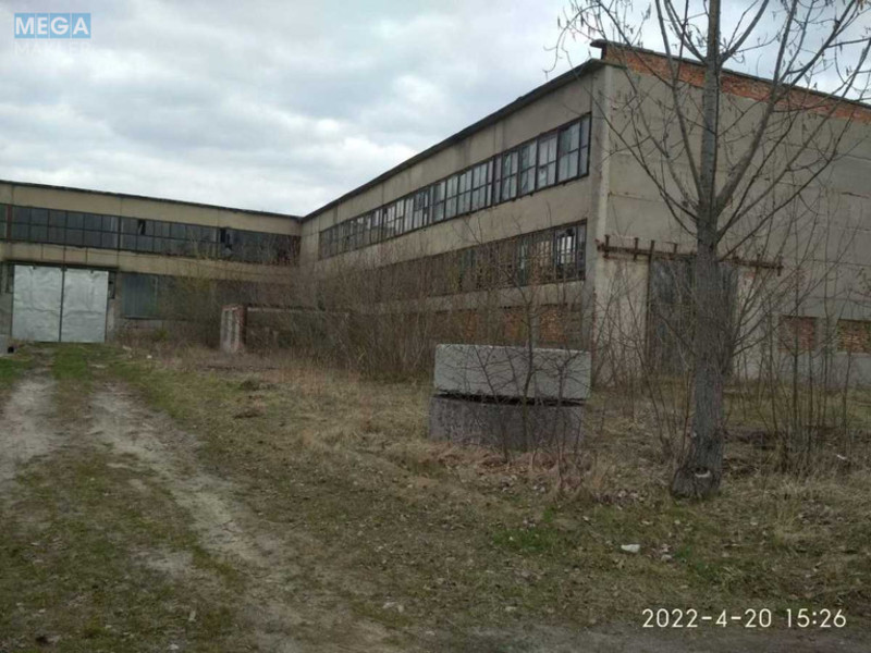 Продаж комплексу будівель та споруд, 2 400 кв.м, под производство, <a class="location-link" href="/lopatin/" title="Недвижимость Лопатін">Лопатин</a>, Центральна, 25 (изображение 10)