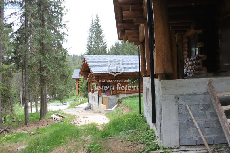 Продажа участка, 100&nbsp;соток, земля коммерческого назначения, <a class="location-link" href="/yablonica/" title="Недвижимость Яблуниця">Яблуниця</a>, Горішків (изображение 5)