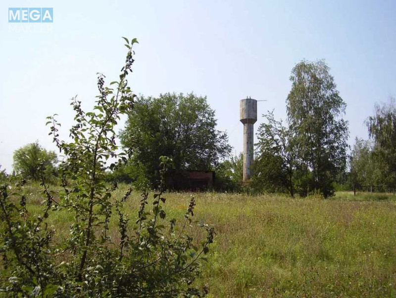 Продаж комплексу будівель та споруд, 3 175 кв.м, под производство, <a class="location-link" href="/chigirin/" title="Недвижимость Чигирин">Чигирин</a>, Богдана Хмельницького (изображение 6)