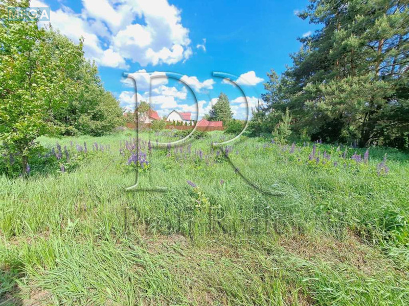 Продажа участка, 12 соток, участок под жилую застройку, <a class="location-link" href="/kolonshina/" title="Недвижимость Колонщина">Колонщина</a>, Лісова вулиця (изображение 7)