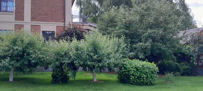 Продаж дома, 2 поверху, 373 кв.м, 5 кімнат, ділянка 32 сотки, <a class="location-link" href="/zabyre/" title="Недвижимость Забір'я">Забір`я</a>, Лесная (изображение 16)