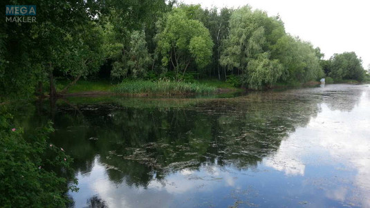 Продаж дома, 3&nbsp;поверху, 202&nbsp;кв.м, 6&nbsp;кімнат, ділянка 38&nbsp;соток, <a class="location-link" href="/krushinka/" title="Недвижимость Крушинка">Крушинка</a>, Киевская (изображение 8)