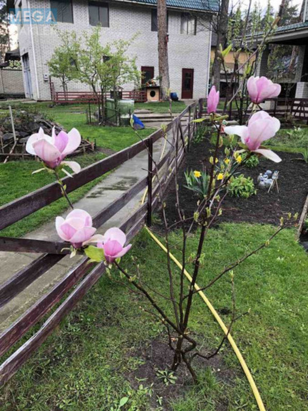 Продаж дома, 3 поверху, 245 кв.м, 4 кімнати, ділянка 15 соток, <a class="location-link" href="/bucha/" title="Недвижимость Буча">Буча</a>, Киево -Мироцкая (изображение 11)