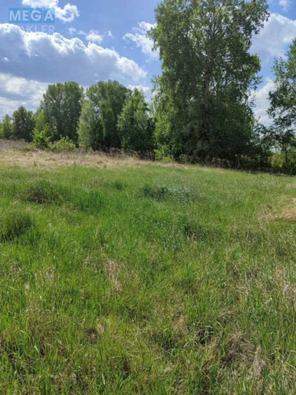 Продажа участка, 16,52 соток, земля сельскохозяйственного назначения, <a class="location-link" href="/grebelki/" title="Недвижимость Гребельки">Гребельки</a>, нова (изображение 6)