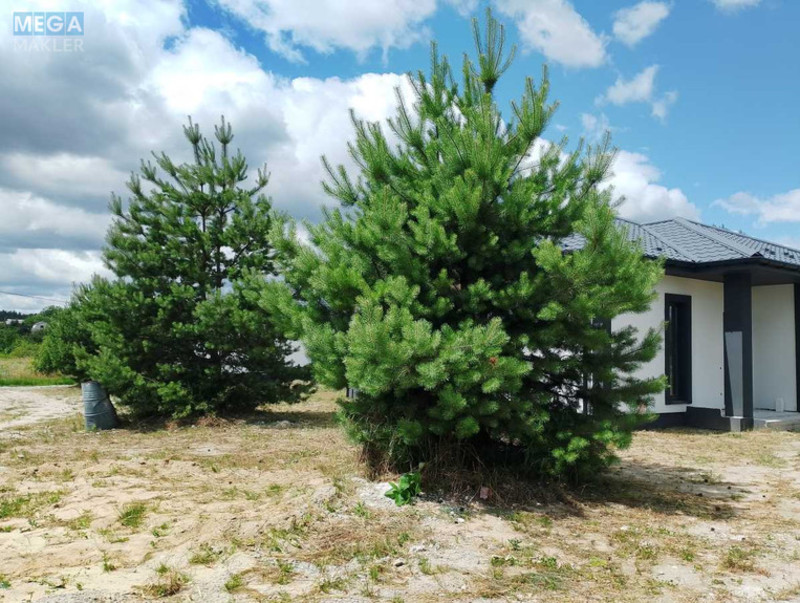 Продаж 4 кімнатної квартири (95/?/?), 1 пов. 1 пов. будинку, <a class="location-link" href="/putrovka/" title="Недвижимость Путрівка">Путрівка</a>, Короленка (изображение 14)