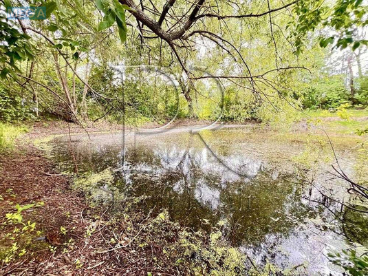 Продажа участка, 8&nbsp;соток, участок под жилую застройку, <a class="location-link" href="/zagalcy/" title="Недвижимость Загальці">Загальці</a>, Садава 51 вулиця (изображение 6)
