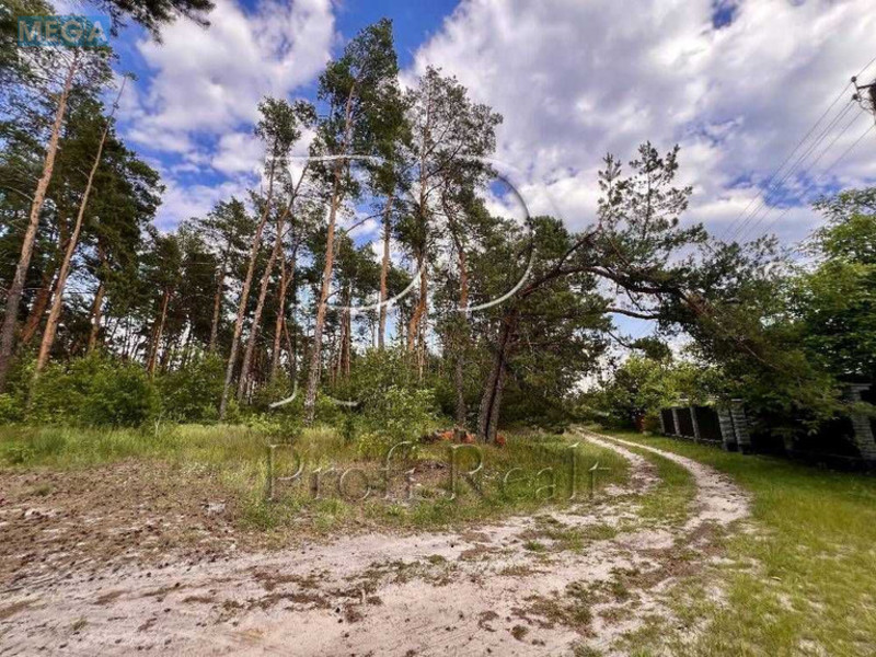 Продажа участка, 8 соток, участок под жилую застройку, <a class="location-link" href="/zagalcy/" title="Недвижимость Загальці">Загальці</a>, Садава 51 вулиця (изображение 9)