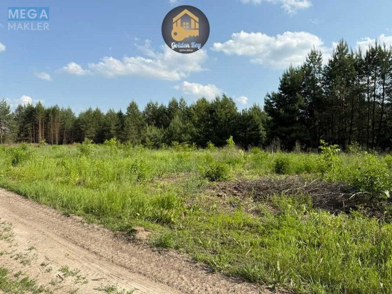 Продажа участка, 2,84 сотки, земля сельскохозяйственного назначения, <a class="location-link" href="/gnedin/" title="Недвижимость Гнідін">Гнідин</a>, автошлях 1016 (изображение 6)