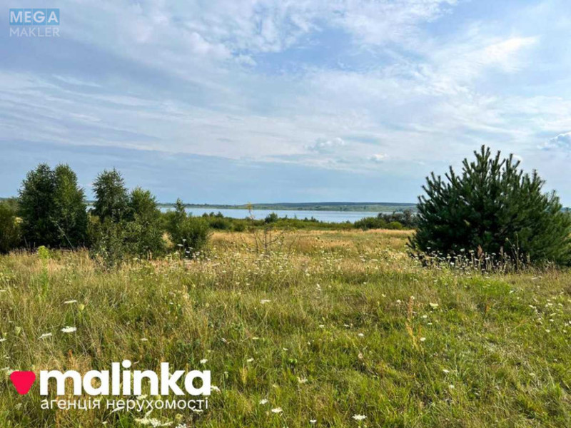 Продажа участка, 52 сотки, участок под жилую застройку, <a class="location-link" href="/zaluzhe-selo-lv/" title="Недвижимость Залужжя">Залужжя</a>, Цетуля (изображение 3)