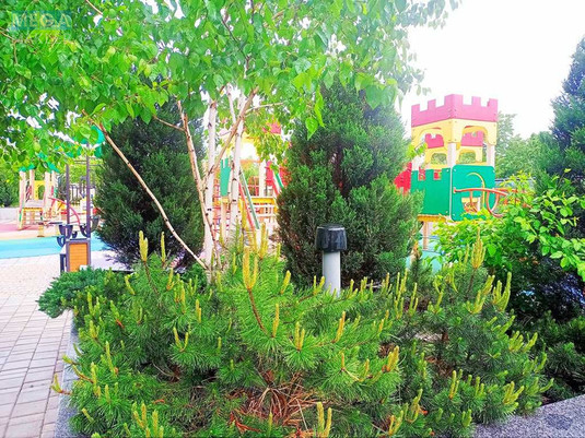 Продаж 1 кімнатної квартири (50/15/21), 3 пов. 25 пов. будинку, <a class="location-link" href="/kiev/" title="Недвижимость Київ">Київ</a>, <a class="location-link" href="/kiev/shevchenkovskij/" title="Недвижимость Шевченківський район">Шевченківський р-н</a>, Победы просп., 5в (изображение 25)