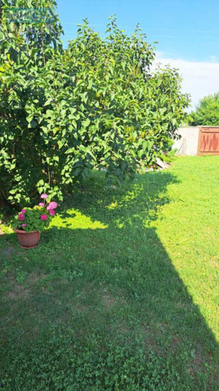 Продаж дома, 1&nbsp; поверх, 100&nbsp;кв.м, 3&nbsp;кімнати, ділянка 30&nbsp;соток, <a class="location-link" href="/olishevka/" title="Недвижимость Олішівка">Олишівка</a>, Провулок Шосейний, 10 (изображение 4)