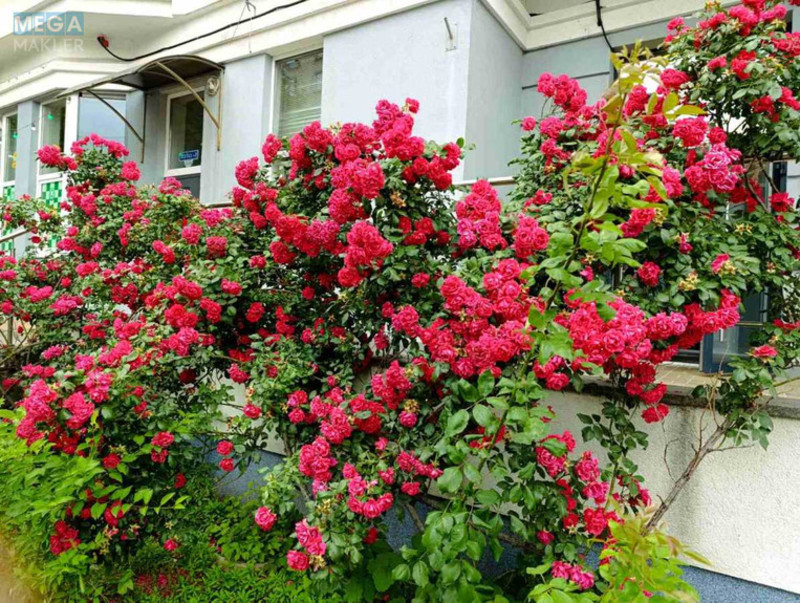 Продаж 3 кімнатної квартири (134/69/13,3), 18 пов. 22 пов. будинку, <a class="location-link" href="/kiev/" title="Недвижимость Київ">Київ</a>, <a class="location-link" href="/kiev/solomenskij/" title="Недвижимость Солом'янський район">Солом'янський р-н</a>, Миколи Голего вул., 7-В (изображение 20)