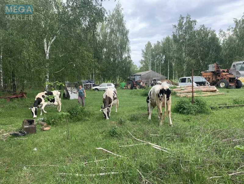 Продажа участка, 1 739 соток, земля сельскохозяйственного назначения, <a class="location-link" href="/kocherov/" title="Недвижимость Кочерів">Кочерів</a>, Київська (изображение 11)