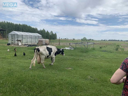 Продажа участка, 1&nbsp;739&nbsp;соток, земля сельскохозяйственного назначения, <a class="location-link" href="/kocherov/" title="Недвижимость Кочерів">Кочерів</a>, Київська (изображение 12)