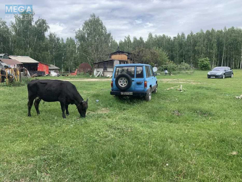 Продажа участка, 1 739 соток, земля сельскохозяйственного назначения, <a class="location-link" href="/kocherov/" title="Недвижимость Кочерів">Кочерів</a>, Київська (изображение 13)