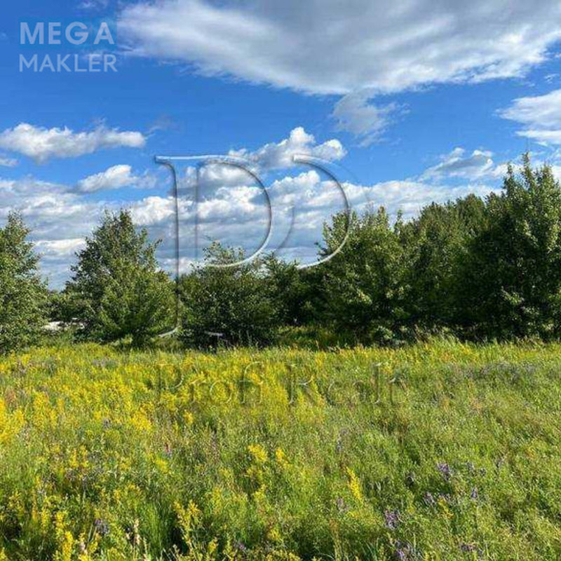 Продажа участка, 8 соток, участок под жилую застройку, <a class="location-link" href="/puhovka/" title="Недвижимость Пухівка">Пухівка</a>, Глибочицька вулиця 1В (изображение 5)