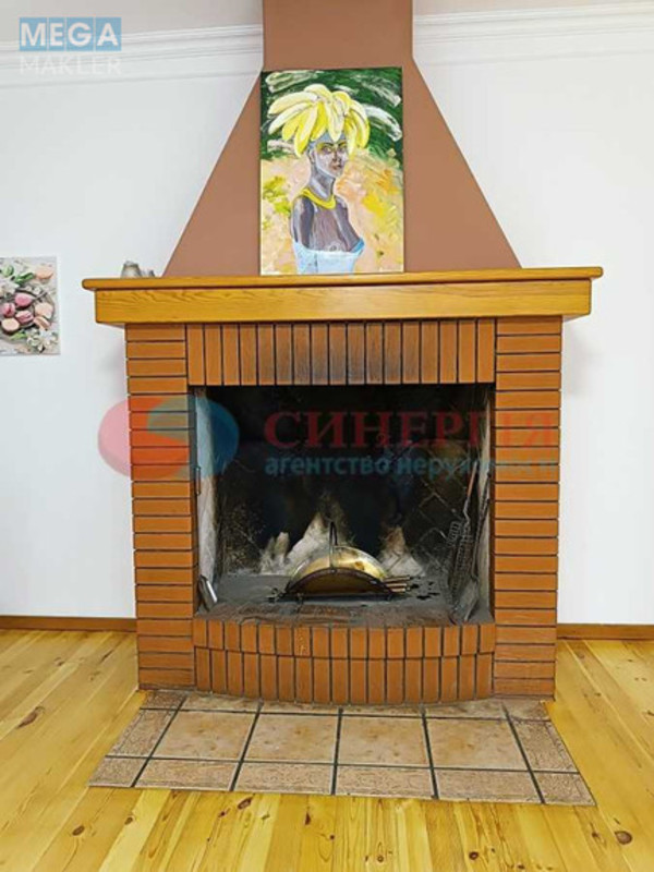 Оренда дома, <a class="location-link" href="/kozin/" title="Недвижимость Козин">Козин</a>, вул. Центральна (изображение 5)