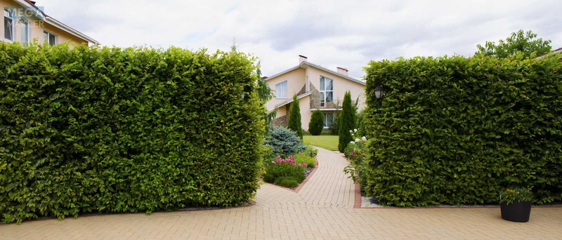 Продаж дома, 2 поверху, 500 кв.м, 5 кімнат, ділянка 50 соток, <a class="location-link" href="/kozin/" title="Недвижимость Козин">Козин</a>, Солов яненка (изображение 5)