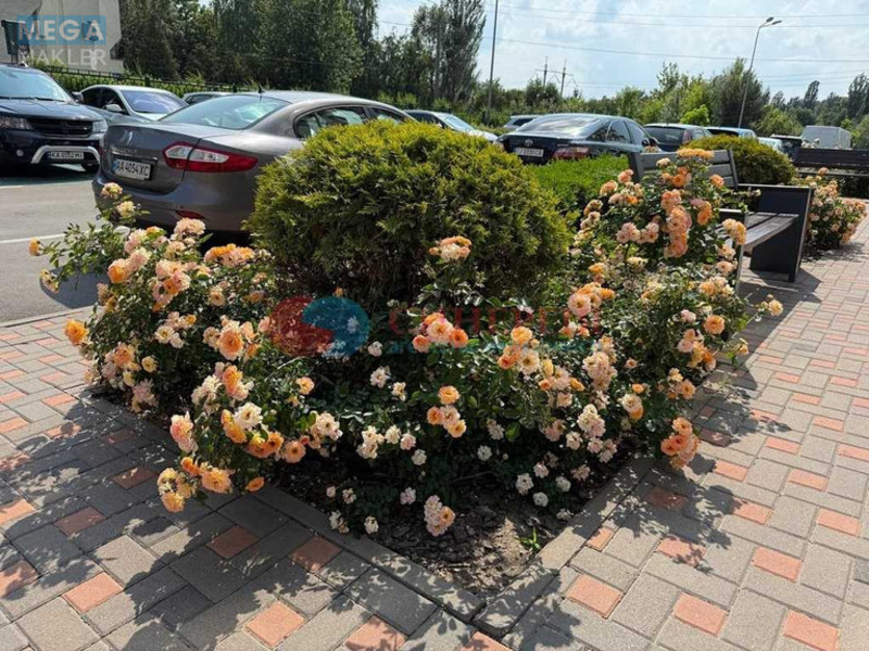 Продаж 1 кімнатної квартири (41/16/15), 12 пов. 16 пов. будинку, <a class="location-link" href="/kiev/" title="Недвижимость Київ">Київ</a>, <a class="location-link" href="/kiev/shevchenkovskij/" title="Недвижимость Шевченківський район">Шевченківський р-н</a>, Тираспольська вул., 52 (изображение 16)