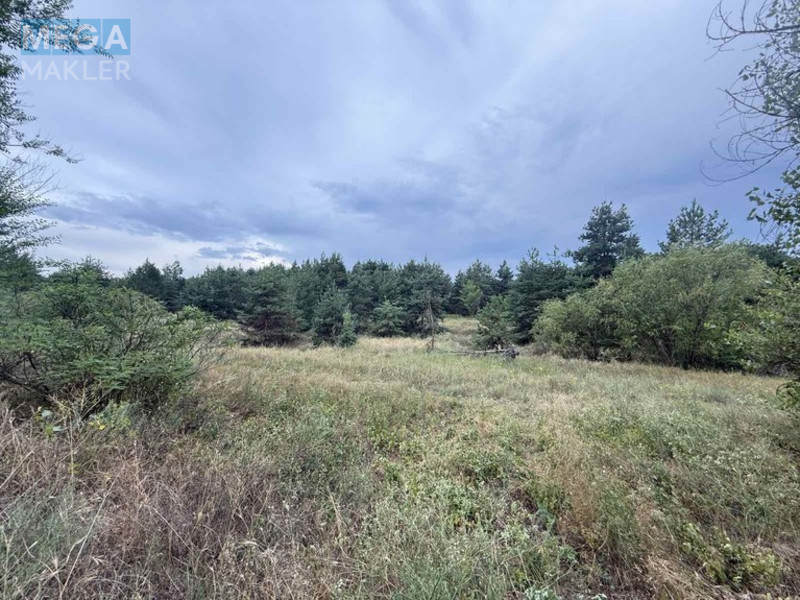 Продажа участка, 2 012 соток, <a class="location-link" href="/carichanka/" title="Недвижимость Царичанка">Царичанка</a> (изображение 3)