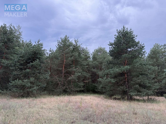 Продажа участка, 2&nbsp;012&nbsp;соток, <a class="location-link" href="/carichanka/" title="Недвижимость Царичанка">Царичанка</a> (изображение 4)