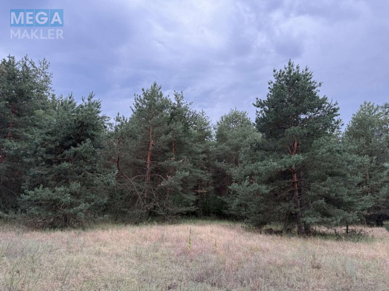 Продажа участка, 2 012 соток, <a class="location-link" href="/carichanka/" title="Недвижимость Царичанка">Царичанка</a> (изображение 4)